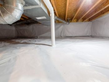 Crawl Space Cleaning Near Me Beaverton Or