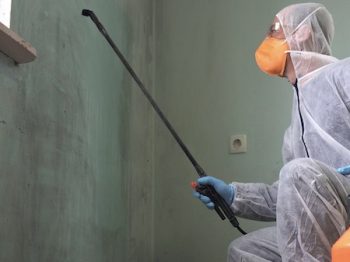 Black Mold Inspection And Removal. A Specialist In Protective Clothing Sprays The Walls Of A House Infected With Mold. Mold And Mildew Stain Remover Spray