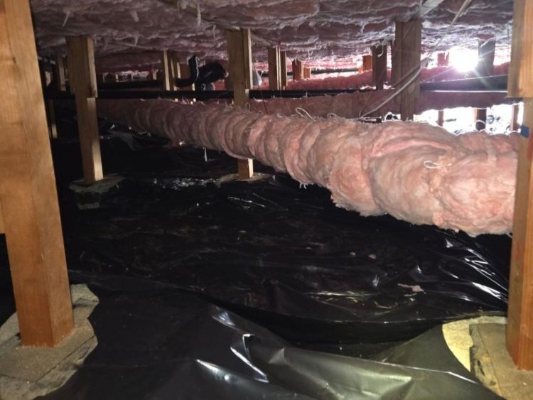 Crawl Space Cleaning Near Me Portland Or