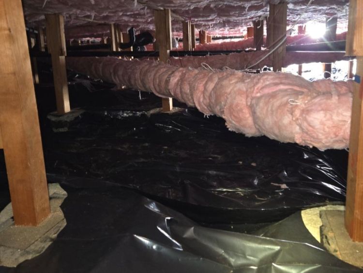 Crawl Space Cleaning Near Me