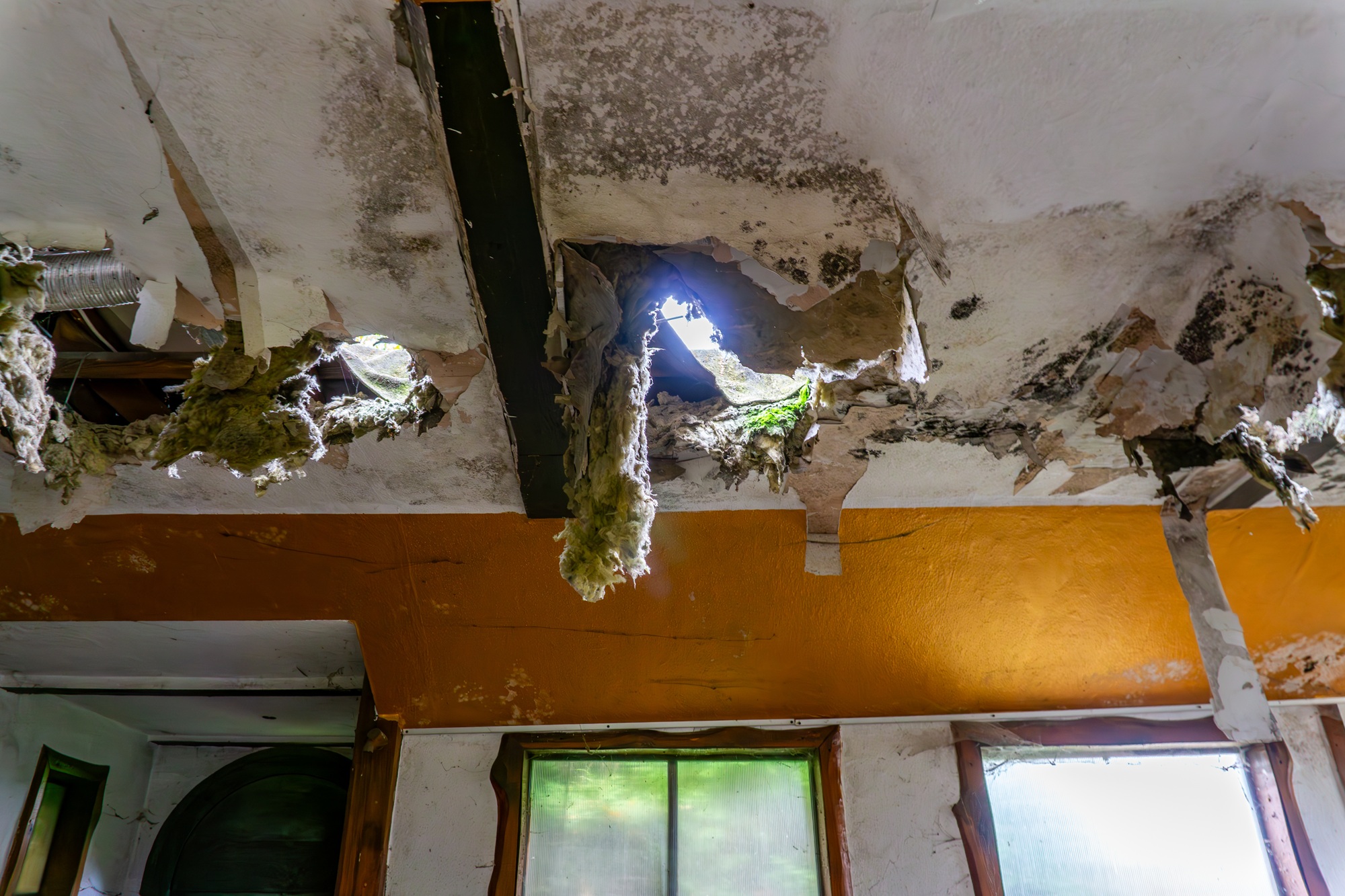Insulation Contractor Tualatin OR